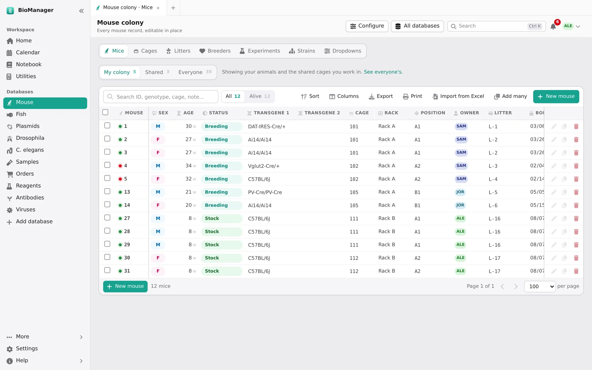 The mouse sheet: one row per mouse with sex, age, status, transgenes, cage, rack, position and owner